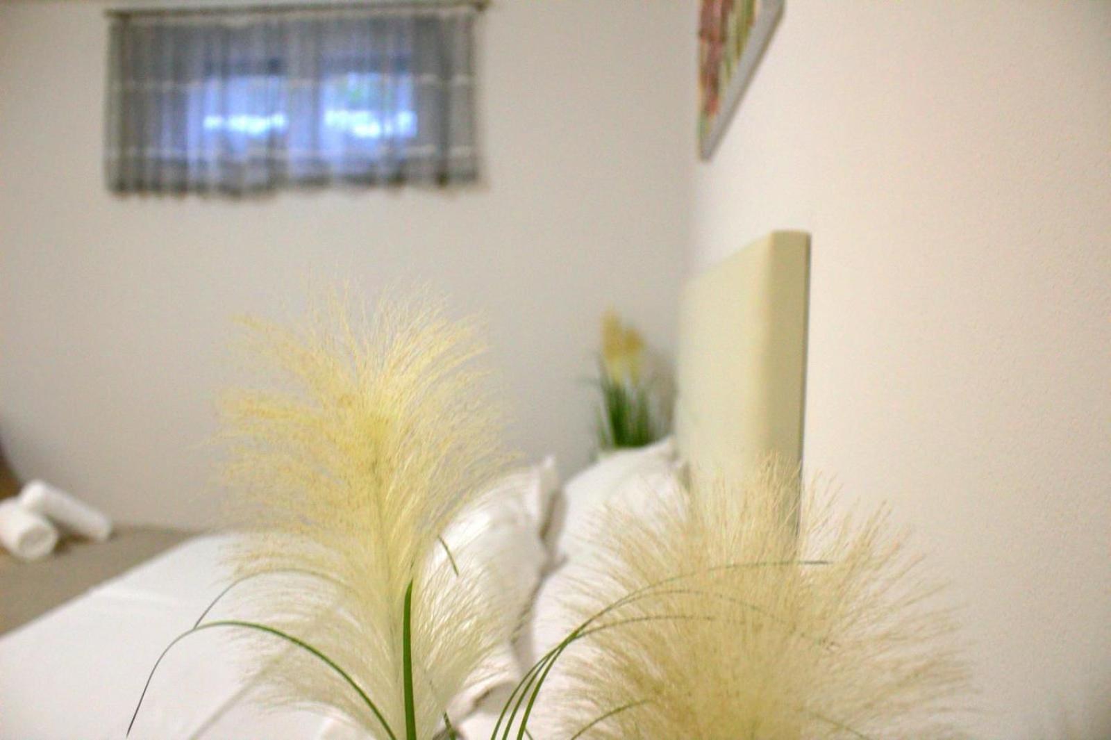 Apartment Danijela Zadar Extérieur photo