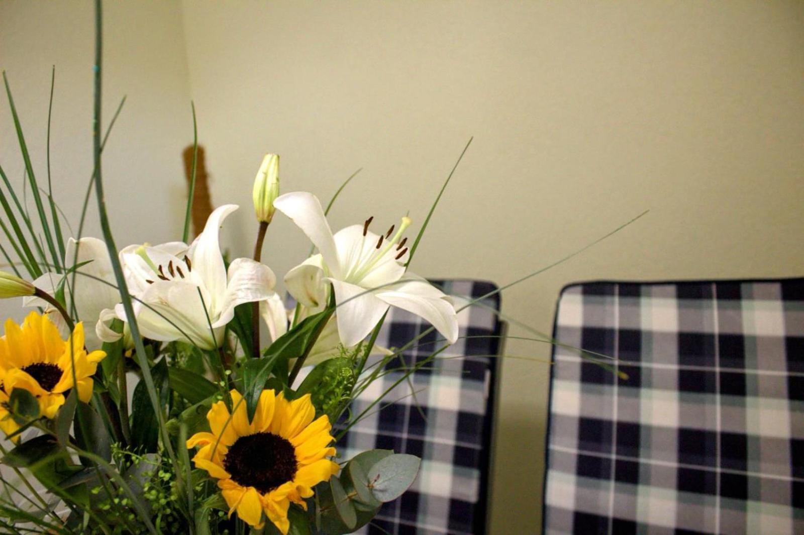 Apartment Danijela Zadar Extérieur photo
