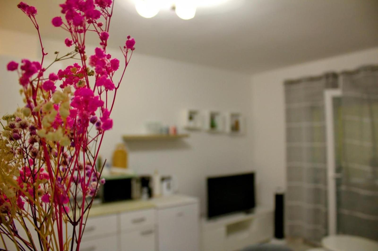 Apartment Danijela Zadar Extérieur photo