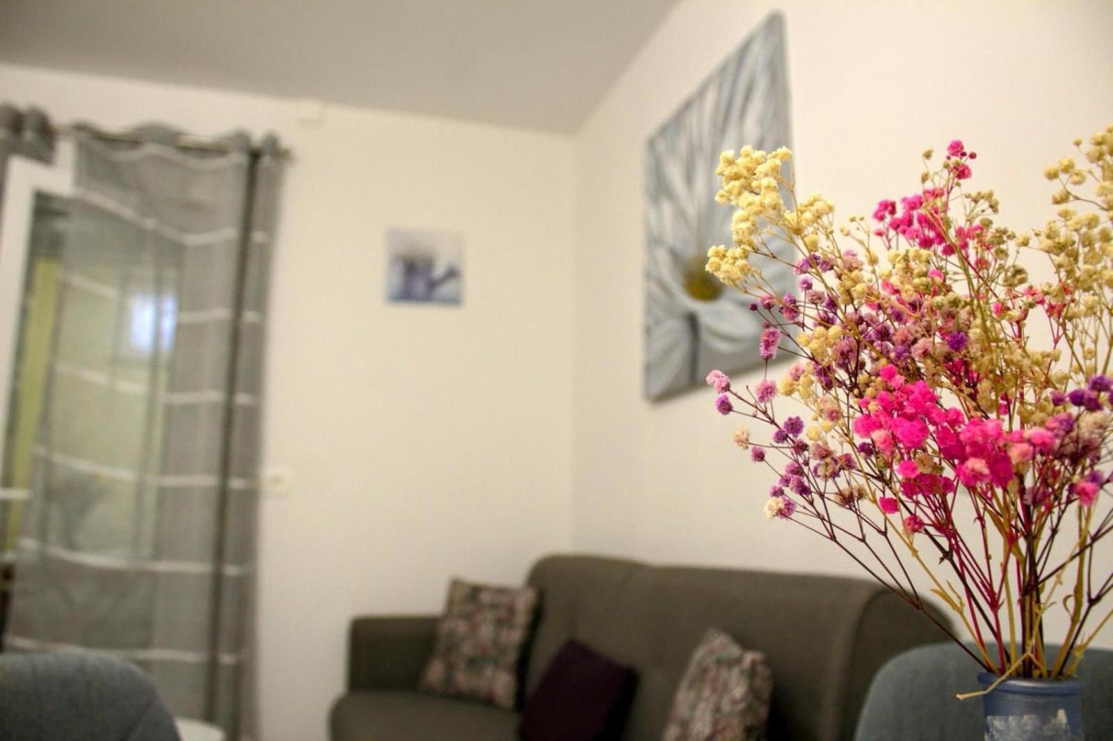 Apartment Danijela Zadar Extérieur photo
